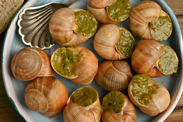 上面的照片是大蜗牛配香蒜酱，蜗牛搭配罗勒香蒜酱、帕尔马干酪和松子。图片下载