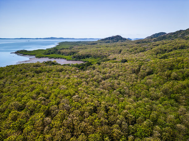 巴拿马奇里基的红树林和海岸 - 股票照片图片下载