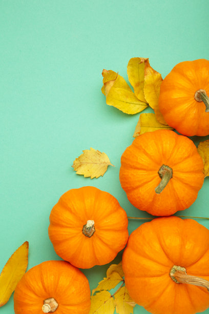 秋季构图。橙色南瓜与秋叶在薄荷色背景上。感恩节。竖版照片图片下载