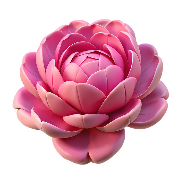 粉色牡丹花孤立图标图片下载