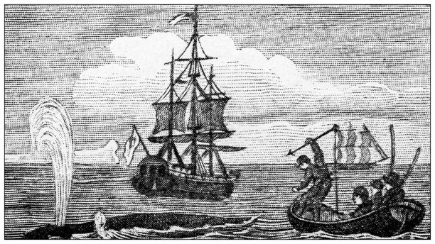 古董图像：捕鲸图片下载