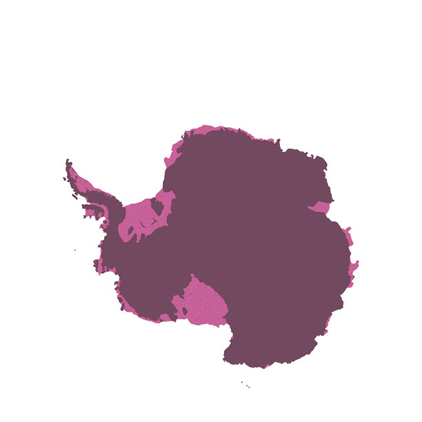 南极洲地图，标志轮廓。世界地图地球仪。矢量插图，背景为白色。南极洲大陆图片下载