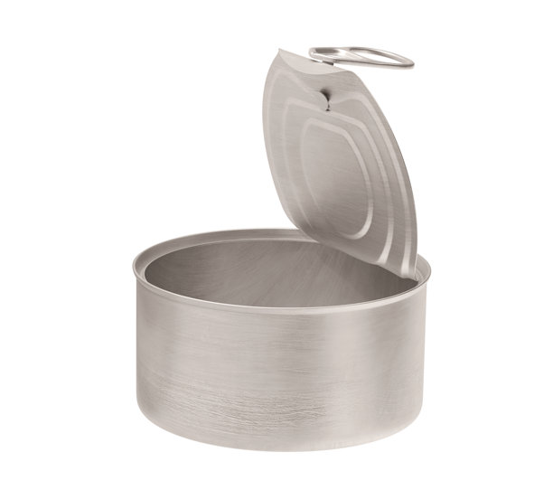 带拉环的马口铁罐，鱼或宠物食品模型。带有开启键的金属罐，与白色背景隔离的金属罐。铝制保鲜罐。3D插图，3D渲染图片下载