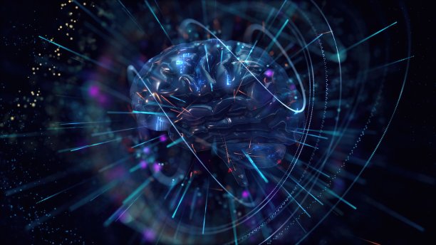 人脑的特写镜头图片下载