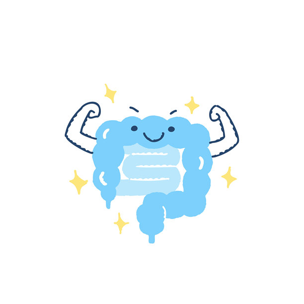 健康的大肠照片图片下载