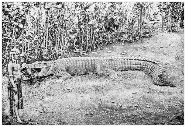 古董图像：婆罗洲图片下载