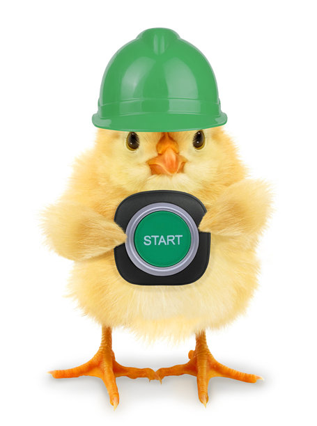 戴着工作头盔的疯狂小鸡工人，手指按下启动按钮，时尚概念创意，背景为白色，搞笑照片。小鸡角色海报。图片下载