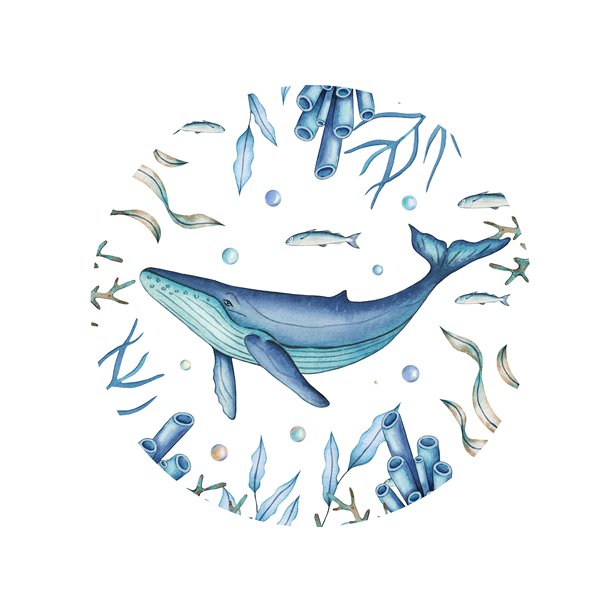 绿松石和蓝色调手绘鲸鱼水彩插画图片下载