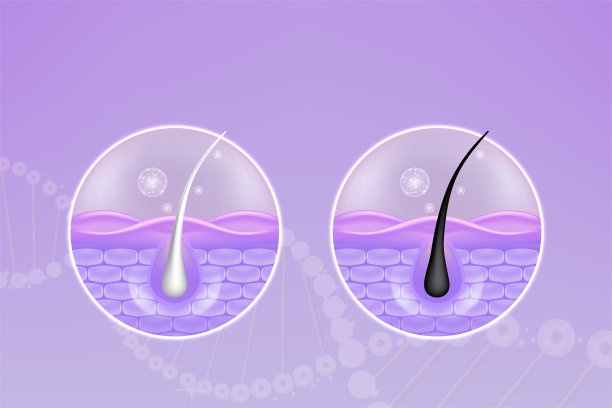 使用前后：玻尿酸与烟酰胺改善灰发和肌肤，白色胶原蛋白精华滴入皮肤细胞，化妆品广告背景，矢量插画图片下载