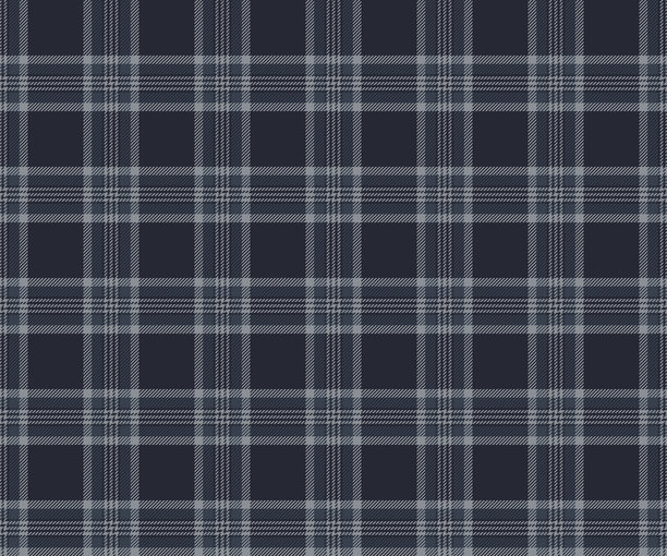 优雅的海军蓝和灰色格子布料图案，适用于纺织品、服装设计、裙子、裤子或装饰性面料。矢量插图。图片下载