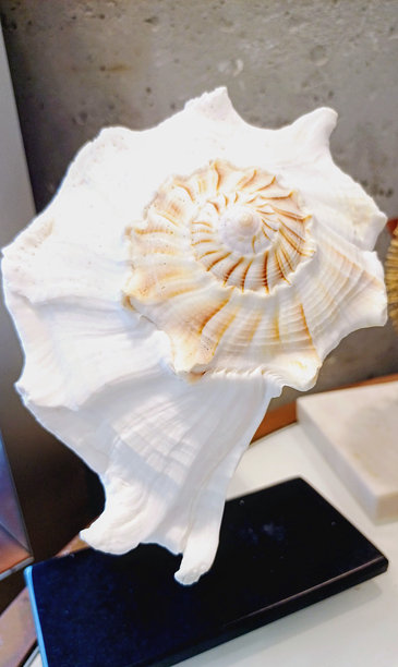 装饰性家居用品。小饰品图片下载