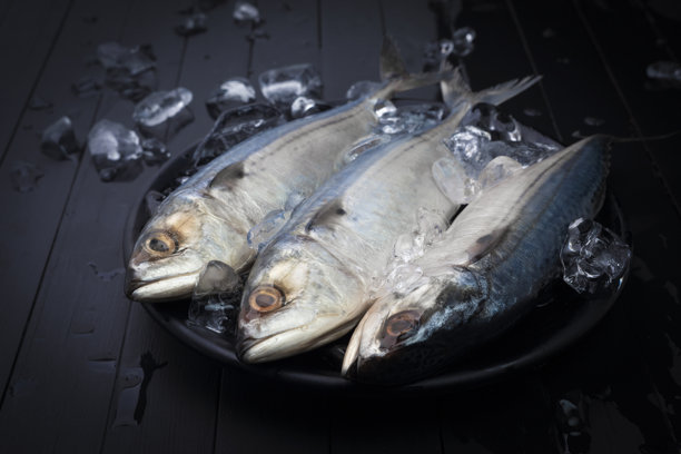 新鲜的鲭鱼，天然海鲜，放在黑色盘子里，底部铺有冰块，背景为黑色木纹。俯视图。图片下载