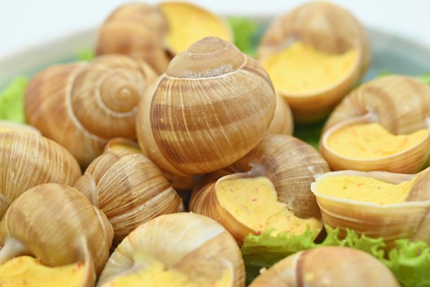 蓝色盘子中的奶酪酱蜗牛照片，蜗牛配上前奶酪酱和帕尔马干酪，白色背景下的菜单照片。图片下载