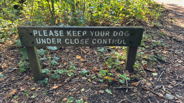 犬类管制标志图片下载