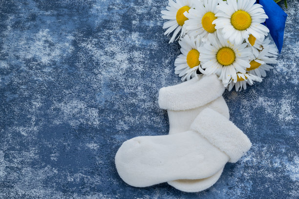 花园中生长的香草照片图片下载