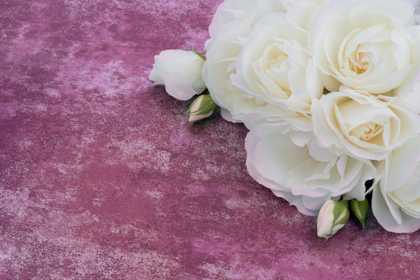 花园中生长的香草照片图片下载