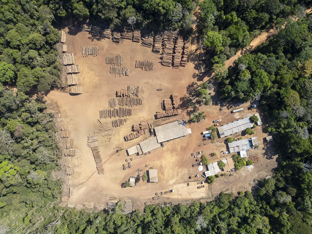 亚马逊地区伐木公司基地鸟瞰图图片下载
