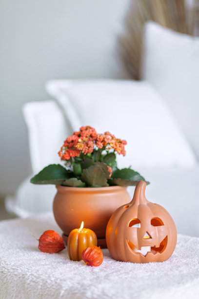 白色室内装饰万圣节。白色美学照片图片下载