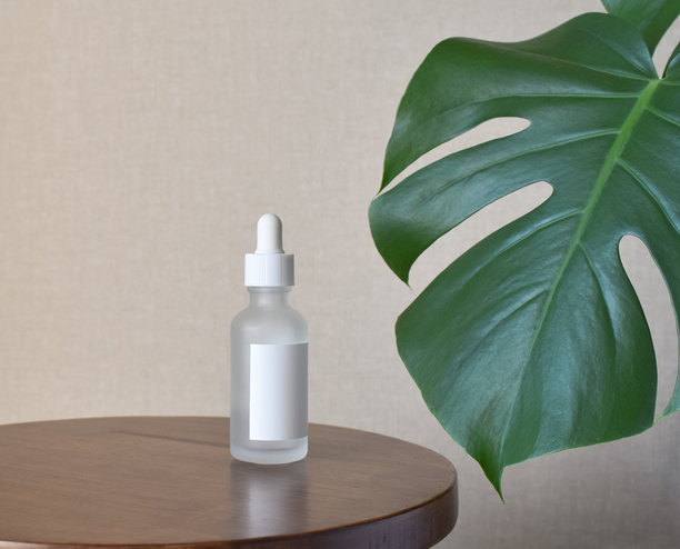 透明玻璃瓶与龟背竹叶。化妆品产品包装设计。空白标签。图片下载