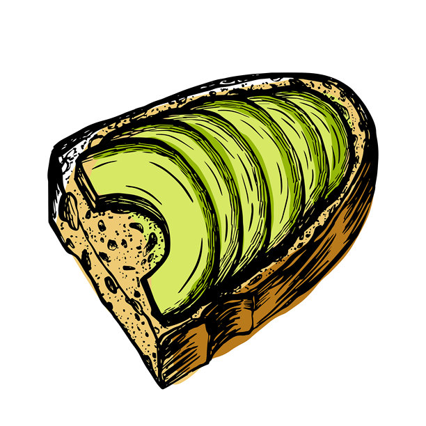 牛油果吐司插图，素食矢量插画，素描风格，雕刻风格，黑色线条和色彩斑点，白色背景上独立展示图片下载