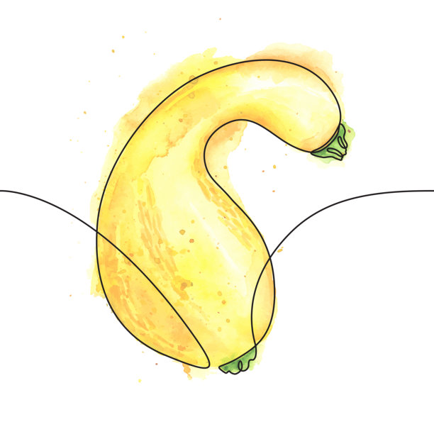 秋季南瓜蔬菜连续线条绘图，带可编辑的笔触和水彩元素图片下载