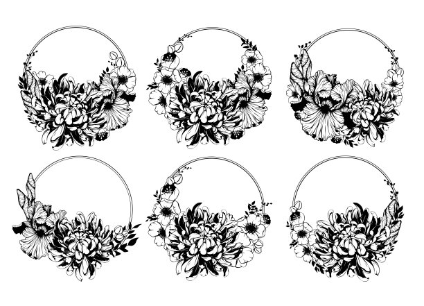 鸢尾花、海葵、菊花等圆形花冠。矢量春天，夏天花和叶子花束边框设置图片下载