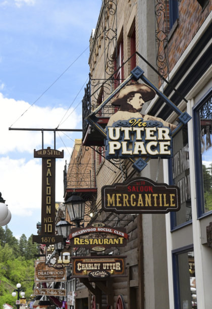 枯枝SD图片下载