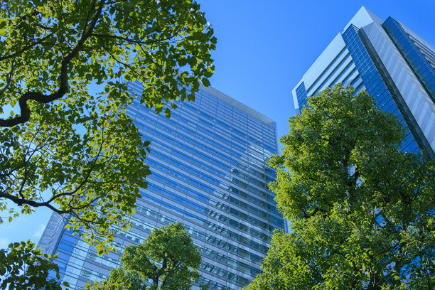 办公大楼与绿树图片下载