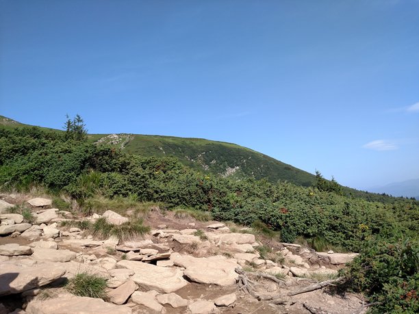 山脉风景与森林的横向彩色照片图片下载