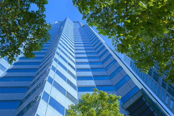 办公楼和绿树图片下载