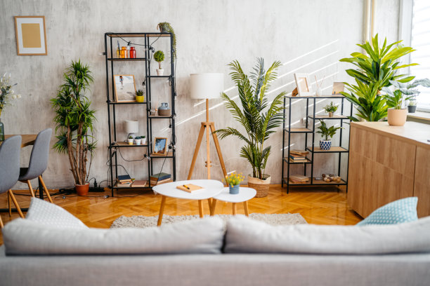 一个空旷的现代客厅图片下载