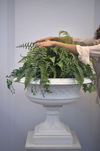 女人靠在墙边的植物旁的中段照片图片下载