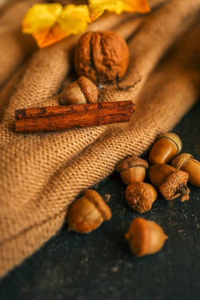 温馨的秋季照片，橡果、坚果、肉桂图片下载