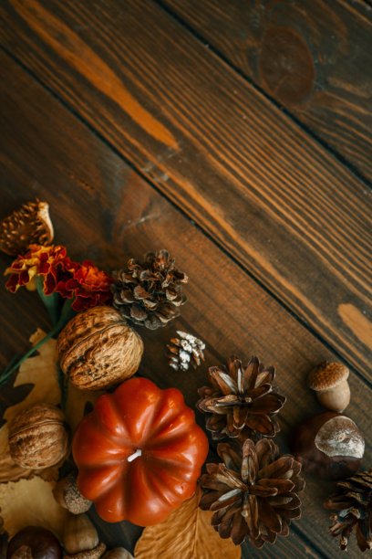 秋季扁平风格的树叶和装饰品构图，复制空间图片下载