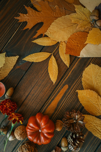 秋季扁平风格的树叶和装饰品构图，复制空间图片下载