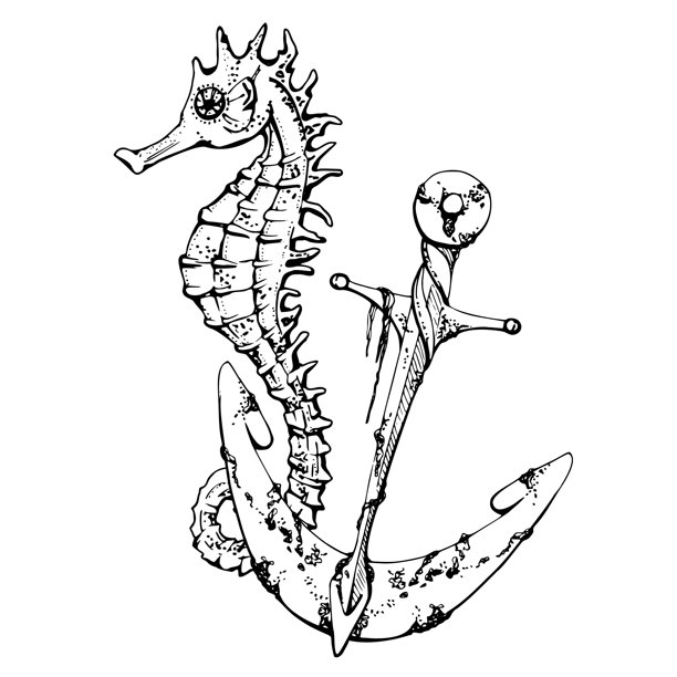 带锚的海马，海洋生物，海洋水下生物动物，钢笔素描手绘，构图插图，风格化，白色孤立，动物园商店，水族馆，化妆品，度假村图片下载