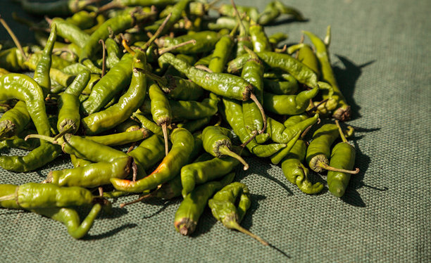 市场上出售的绿色辣椒的高角度视图图片下载