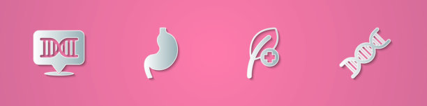 纸雕风格DNA符号、人体胃部、树叶图案矢量素材图片下载