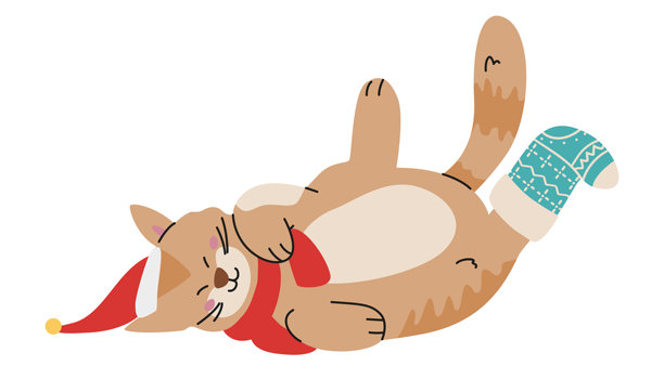 可爱的猫咪戴着圣诞帽、围巾和一只袜子，仰卧在白色背景上的平面插图。图片下载