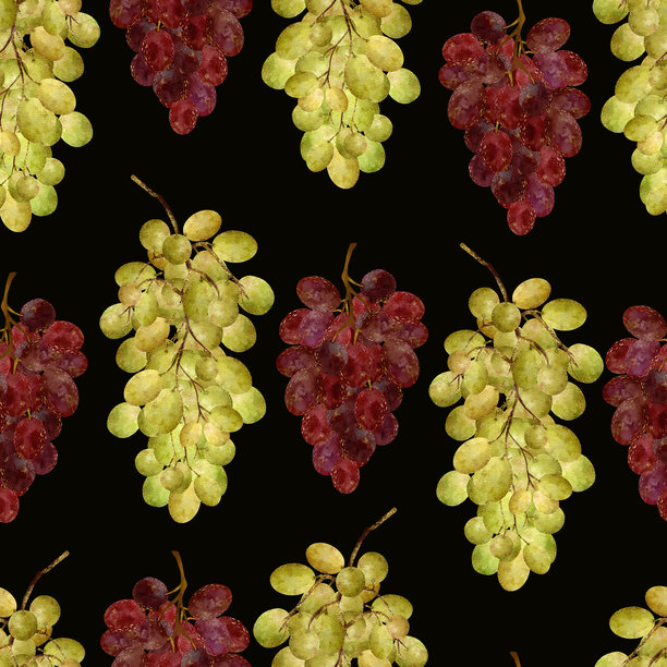 生动多彩的葡萄图案，完美适用于新鲜农产品和有机主题图片下载