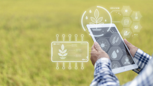 一个人手持一台平板电脑，屏幕上显示着一片植物田。图片下载