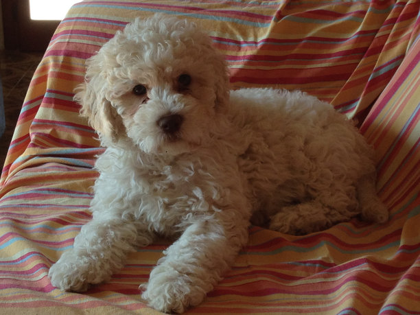 我的世界图片下载