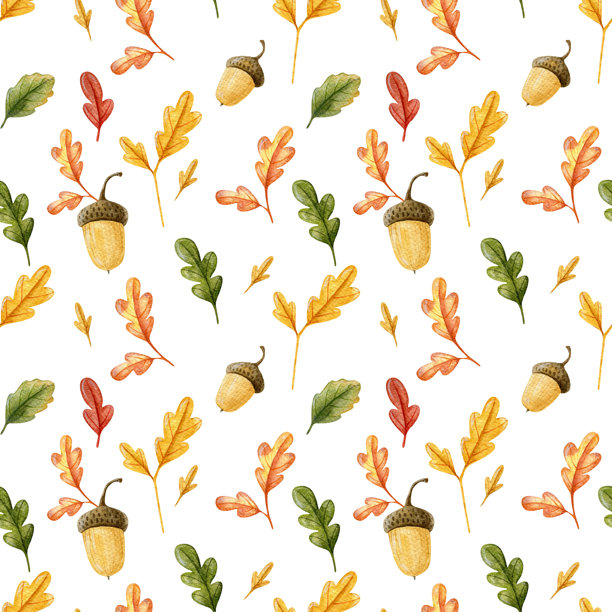 水彩自然无缝图案，背景为白色，手绘插图。野生森林植物、橡果、树枝。适用于制作面料、包装纸、邀请函和纺织品。图片下载