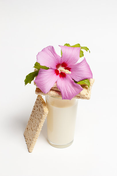 米饼，适合营养均衡和减肥的饮食图片下载