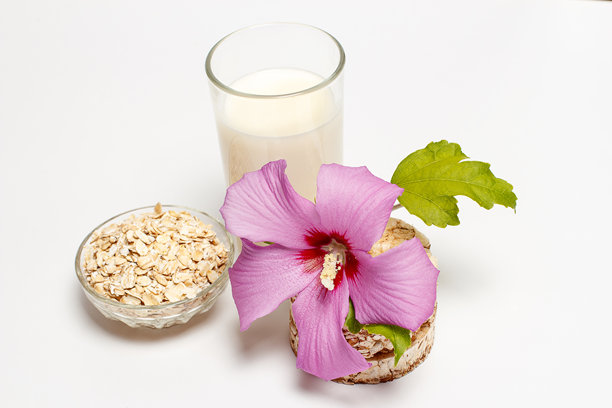 米饼，适合营养均衡和减肥的饮食图片下载