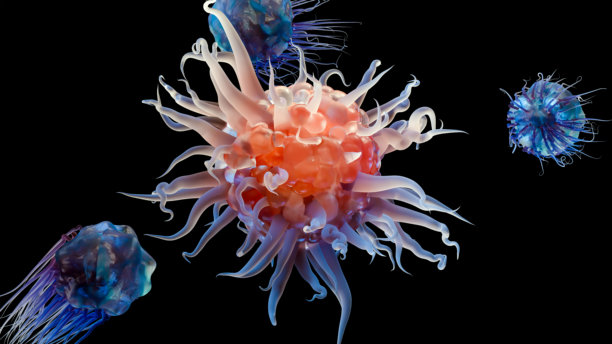 细胞因子释放的免疫反应、癌症免疫疗法、T细胞和B细胞免疫系统对抗病毒，3D渲染图片下载