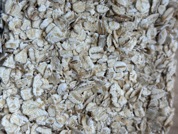 早晨的燕麦图片下载