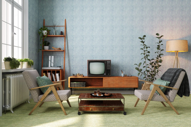 复古客厅，配有扶手椅、复古电视、室内植物和落地灯图片下载