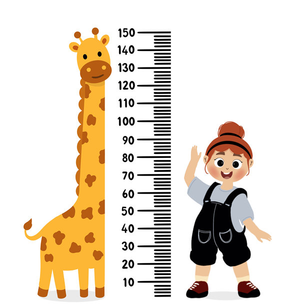 小孩用尺子测量身高，矢量图和插图图片下载