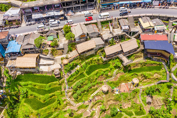 巴厘岛德加拉朗梯田的航拍照片，包括岛屿、稻田和田野风光。图片下载